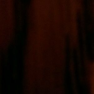 Meet your Posher, Gary